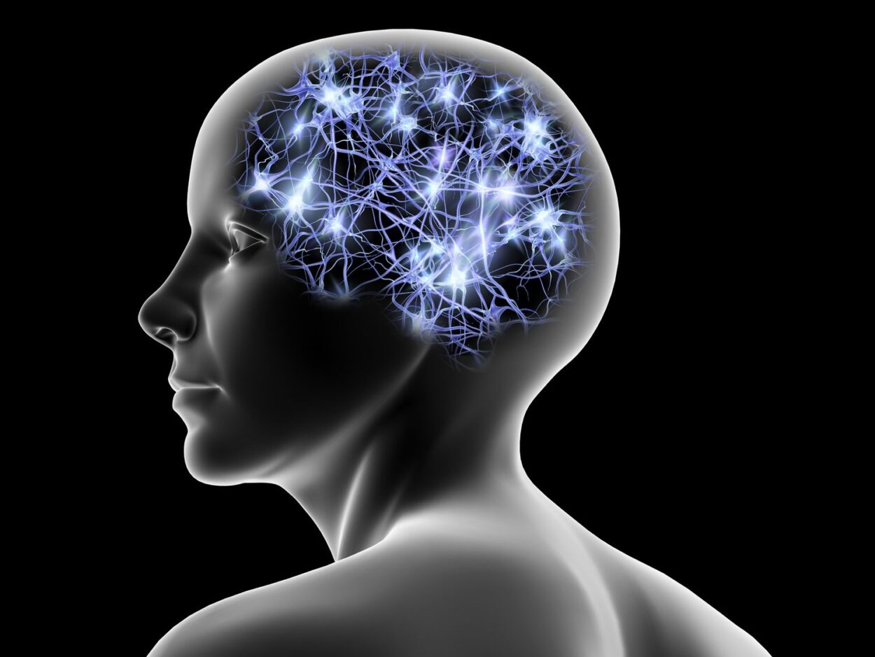 Human brain neural network
